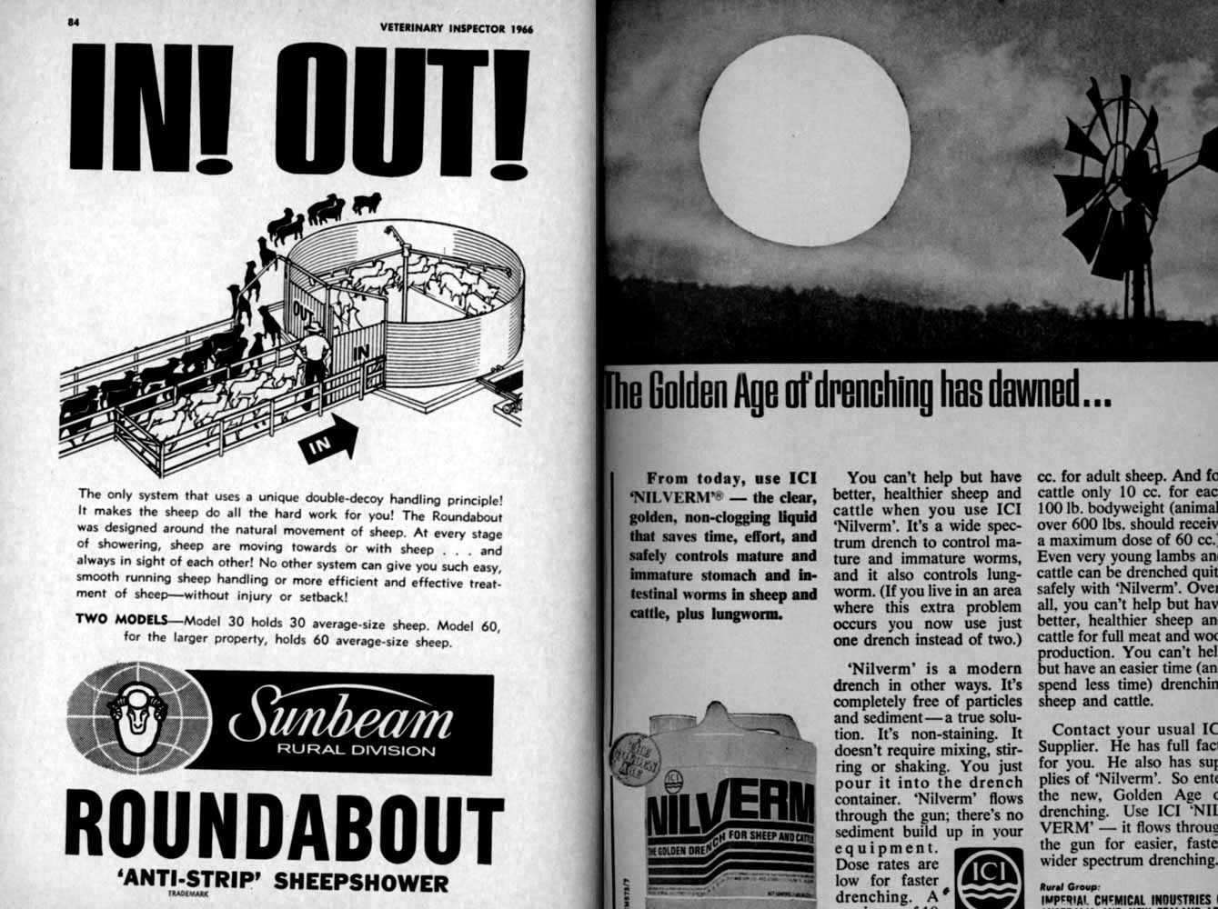 1966 Page 84